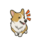 Hi！Corgi（個別スタンプ：8）