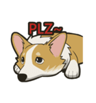 Hi！Corgi（個別スタンプ：9）