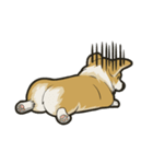 Hi！Corgi（個別スタンプ：10）