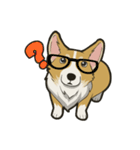 Hi！Corgi（個別スタンプ：11）