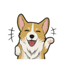 Hi！Corgi（個別スタンプ：14）