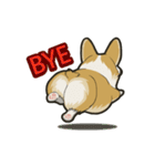 Hi！Corgi（個別スタンプ：20）