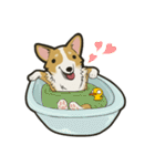 Hi！Corgi（個別スタンプ：21）