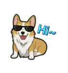 Hi！Corgi（個別スタンプ：23）