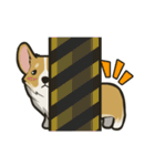 Hi！Corgi（個別スタンプ：25）