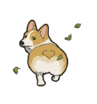 Hi！Corgi（個別スタンプ：28）