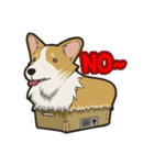 Hi！Corgi（個別スタンプ：29）