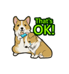 Hi！Corgi（個別スタンプ：30）