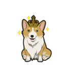 Hi！Corgi（個別スタンプ：31）