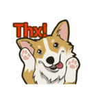 Hi！Corgi（個別スタンプ：32）