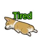 Hi！Corgi（個別スタンプ：35）