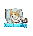 Hi！Corgi（個別スタンプ：36）