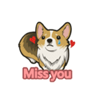 Hi！Corgi（個別スタンプ：39）