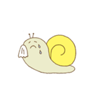 かたつむこ（個別スタンプ：3）
