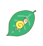 かたつむこ（個別スタンプ：24）