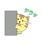 ねこの日常 （丸顔くん第21弾）（個別スタンプ：13）