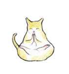 Yoga with Cat（個別スタンプ：13）