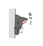 ごめんねこ（個別スタンプ：1）