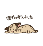 ごめんねこ（個別スタンプ：6）