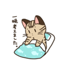 ごめんねこ（個別スタンプ：7）