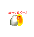 コザクラインコのルビオ（個別スタンプ：17）