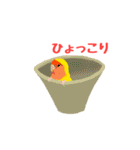 コザクラインコのルビオ（個別スタンプ：25）