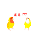 コザクラインコのルビオ（個別スタンプ：32）