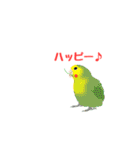 コザクラインコのルビオ（個別スタンプ：36）