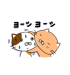 ねこねこっち（個別スタンプ：14）