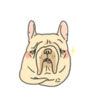 Half Sugar without ice frenchbulldog（個別スタンプ：12）