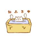 いえねこ（個別スタンプ：31）