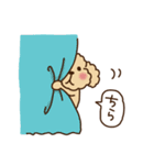 トイプーのぷう太郎 その4（個別スタンプ：25）