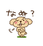 トイプーのぷう太郎 その4（個別スタンプ：33）