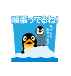 肯定ペンギン（個別スタンプ：21）