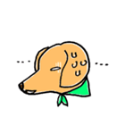 flap eared dog（個別スタンプ：9）