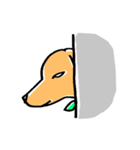 flap eared dog（個別スタンプ：40）