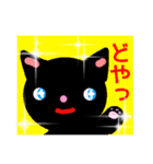 BLACK CAT in 関西（個別スタンプ：16）