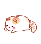 Pochi The Adorable Cat (Int'l Version)（個別スタンプ：30）