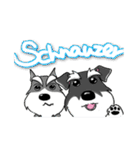 SCHNAUZER TORO ＆ FRIENDS（個別スタンプ：39）