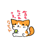 家猫・ぴっぴ（個別スタンプ：7）