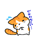 家猫・ぴっぴ（個別スタンプ：11）