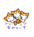 家猫・ぴっぴ（個別スタンプ：36）