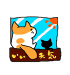 家猫・ぴっぴ（個別スタンプ：39）