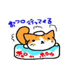 家猫・ぴっぴ（個別スタンプ：40）