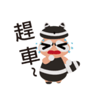 Q version raccoon family（個別スタンプ：7）