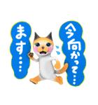 やさねこ ふきだし基本編（個別スタンプ：13）