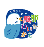 おしゃべりインコちゃんズの社交上手（個別スタンプ：31）