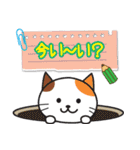 ねこたんのメモ書き（個別スタンプ：11）