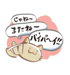 れんこにゃんこ（個別スタンプ：23）