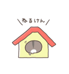 博多弁ハムスター2（個別スタンプ：18）